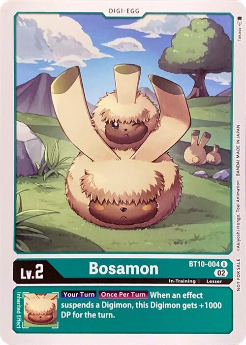 Bosamon - Revision Pack Cards (RPC)